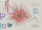 gastly-shiny-gastly-and-gigantamax-starmie-hanging-out-near-aqua-jewel-2024-with-julek